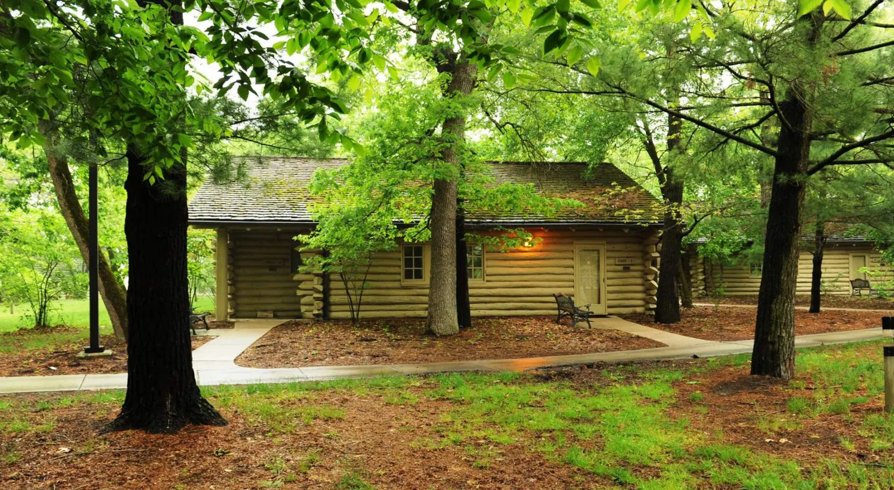 Eine Blockhütte inmitten der Bäume