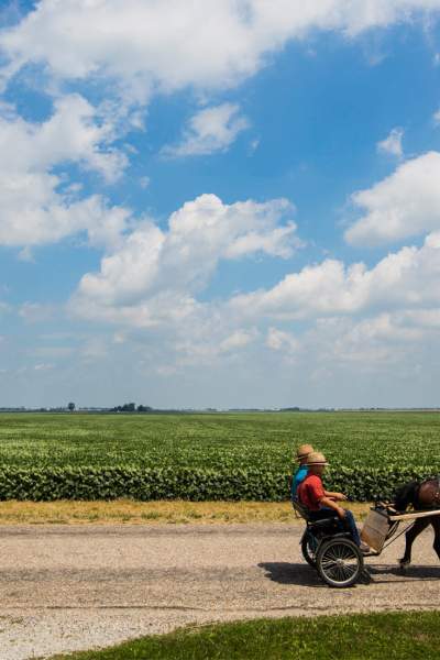 Zwei Menschen sitzen in einem Amish Buggie, der von Pferden auf dem Lande gezogen wird