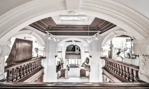 Weißes Museumsinterieur