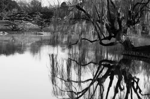 See mit Baum