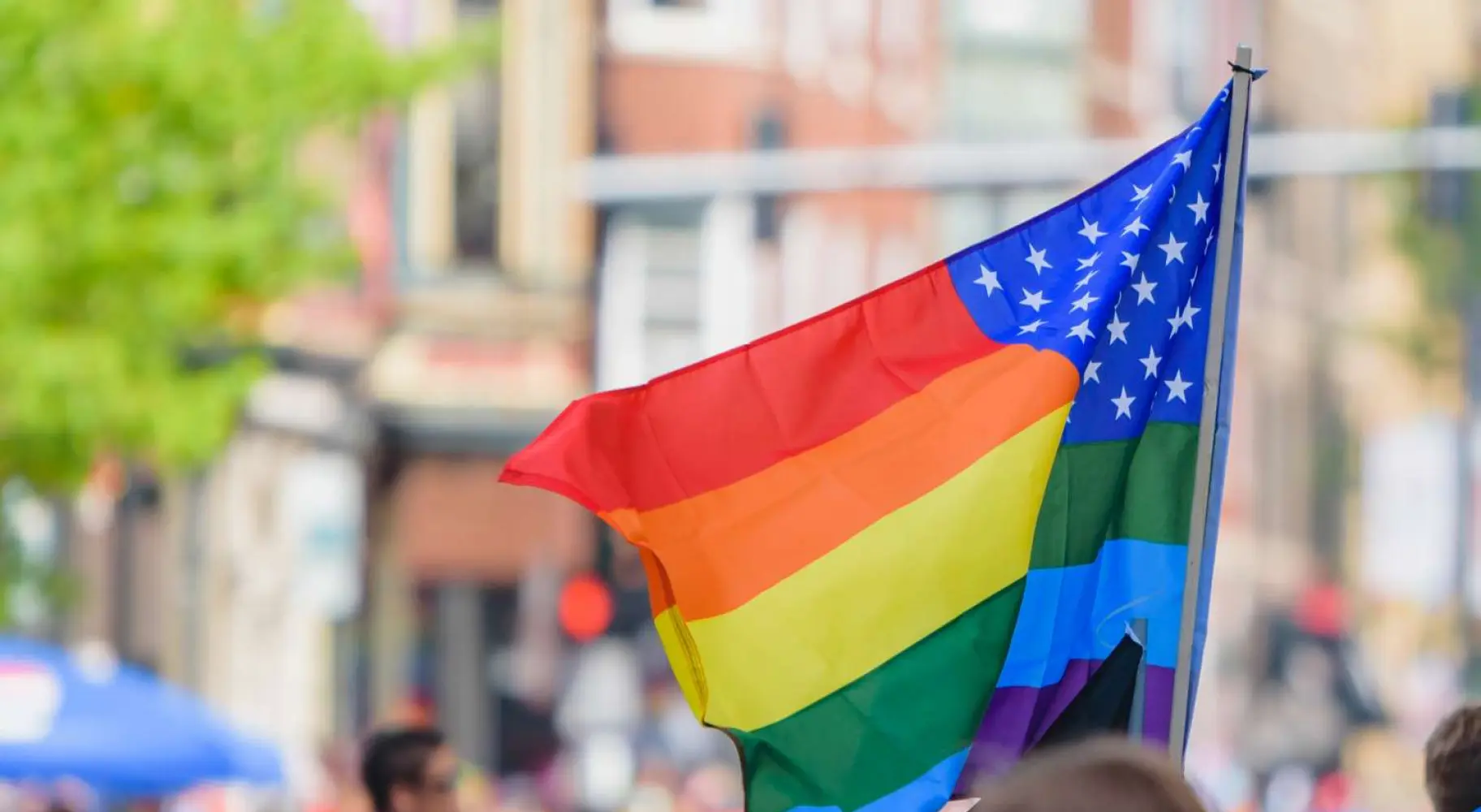 Stolzflagge in Galena
