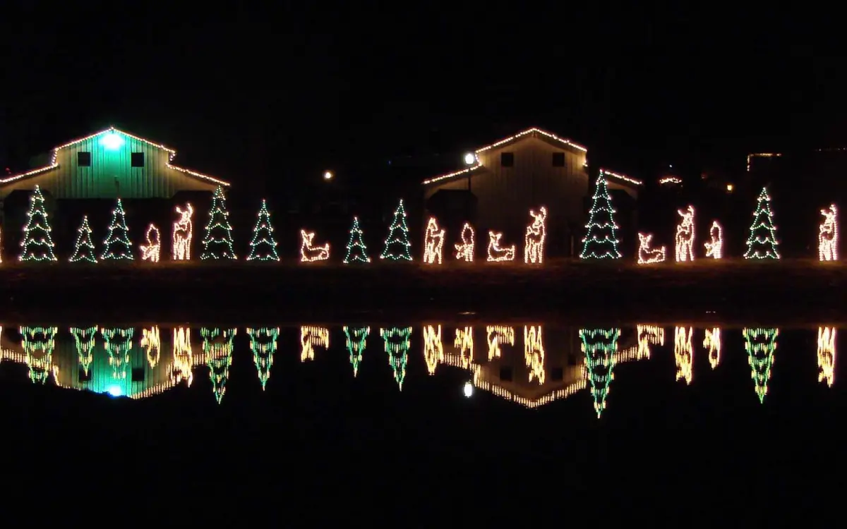  Lichter entlang des Sees