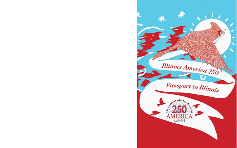 IL 250 Passhülle Bild