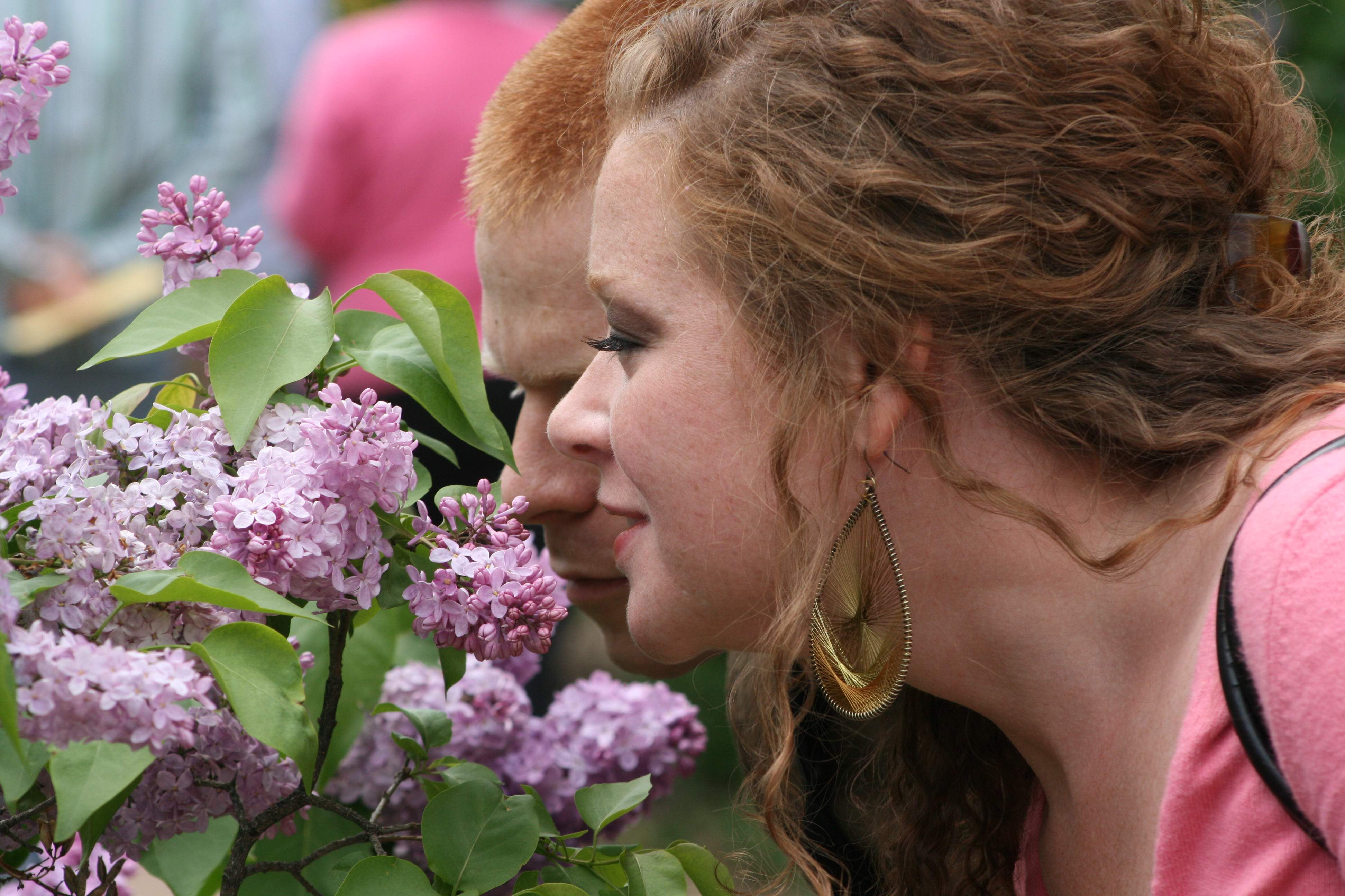 Zwei Personen schnuppern Flieder auf dem Lilac Time Festival in Lombard
