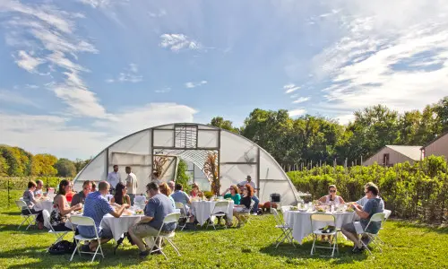 Gruppen von Menschen sitzen an Tischen draußen in der Sonne und genießen Essen und Trinken