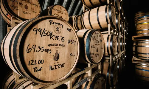 Fässer mit Whiskey