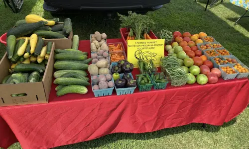 Ein Tisch mit frischen Produkten auf dem Benton Farmers Market