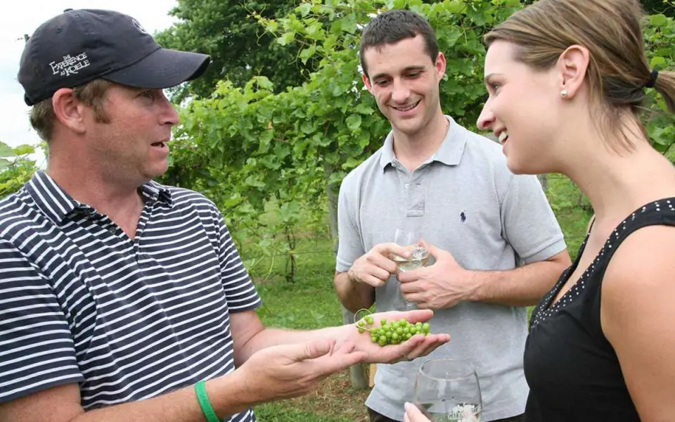 Ein Winzer spricht mit Besuchern der Galena Cellars Vineyard and Winery über Rebsorten.