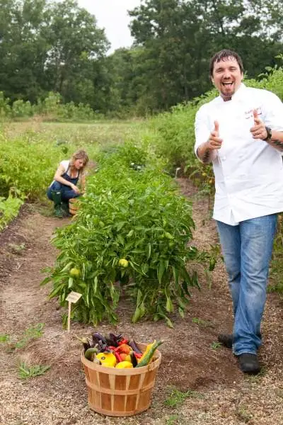 Die Besitzer von Firefly Grill sammeln fleißig Ernten