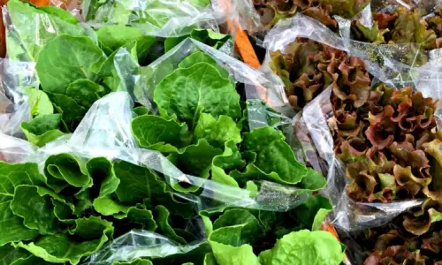 Säcke mit Salat