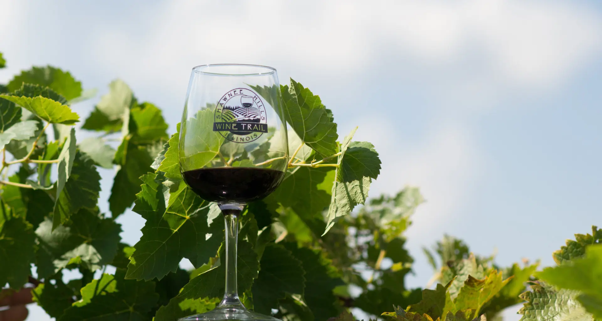 Weinglas in einem Weinberg