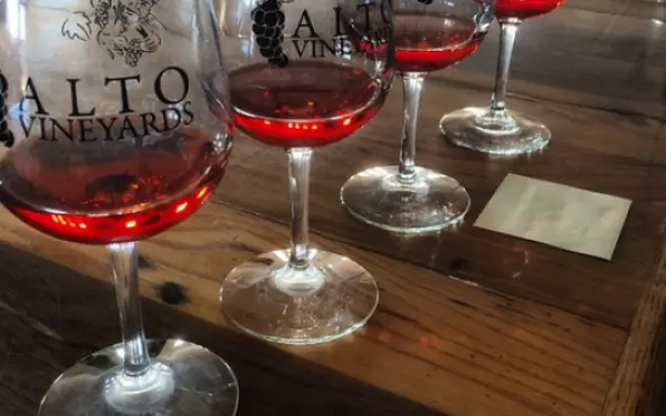 Aufgereihte Weingläser im Verkostungsraum des Alto Vineyard.