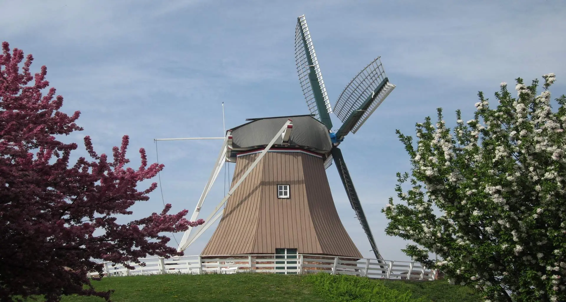 Eine Windmühle auf einem Hügel zwischen zwei Bäumen