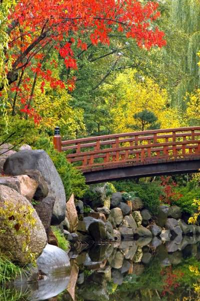 Eine Brücke führt über einen Teich inmitten des Herbstlaubs