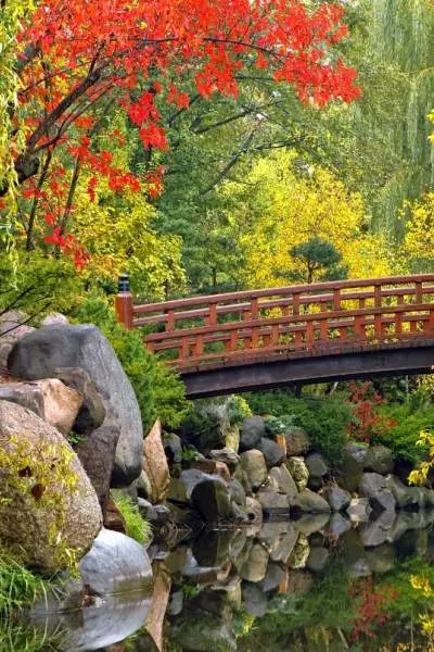 Eine Brücke führt über einen Teich inmitten des Herbstlaubs