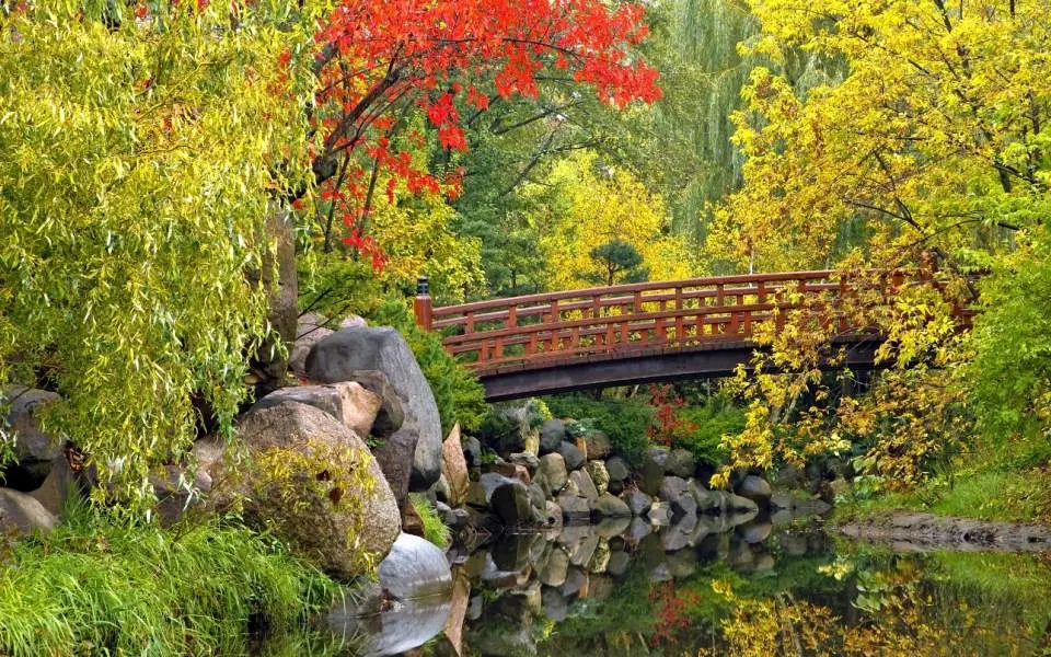 Eine Brücke führt über einen Teich inmitten des Herbstlaubs