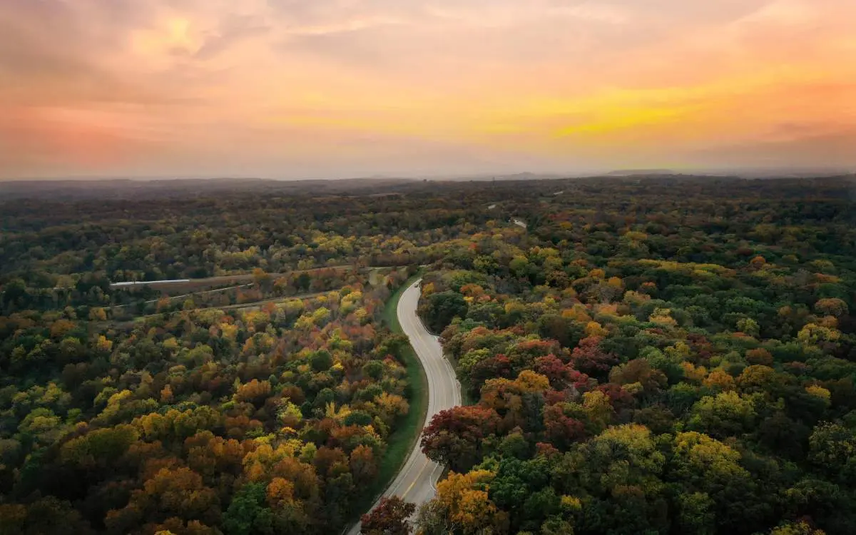 Luftaufnahme einer Autobahn, die sich durch herbstliche Bäume schlängelt, mit einem orangefarbenen Himmel bei Sonnenuntergang