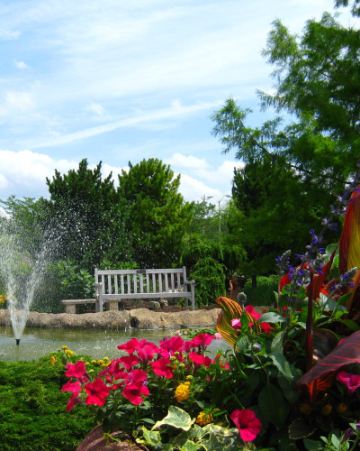 Ein Garten mit einem Teich, einem Stuhl und einigen Blumen