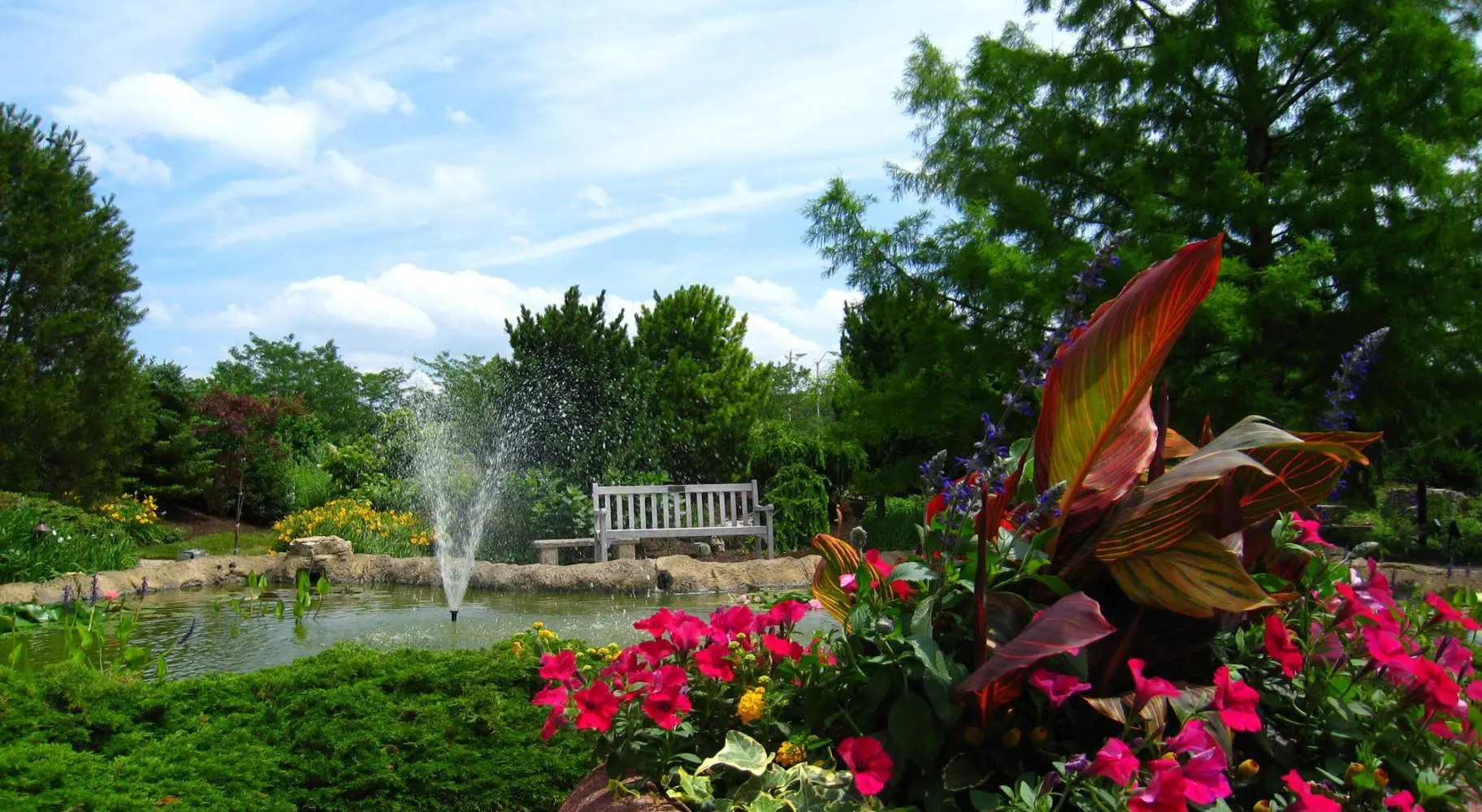 Ein Garten mit einem Teich, einem Stuhl und einigen Blumen