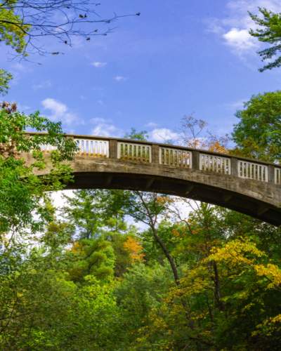 Eine Brücke zwischen zwei bewaldeten Gebieten unter einem blauen Himmel