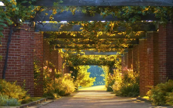 Foto des Gartentraubenweges im Chicago Botanic Garden.