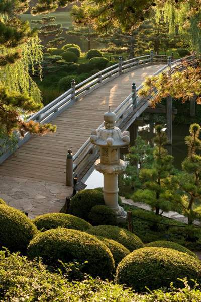 Ein Garten mit einer Brücke