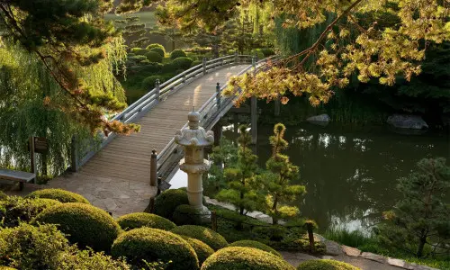 Ein Garten mit einer Brücke