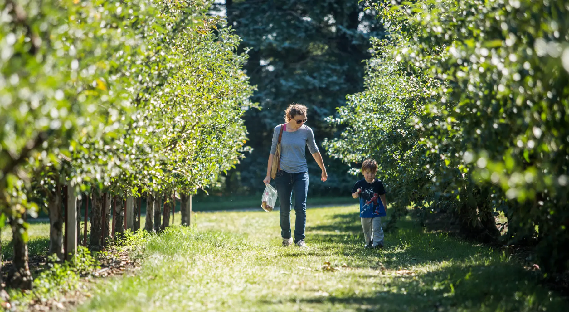 Mutter und Kind gehen durch einen Obstgarten