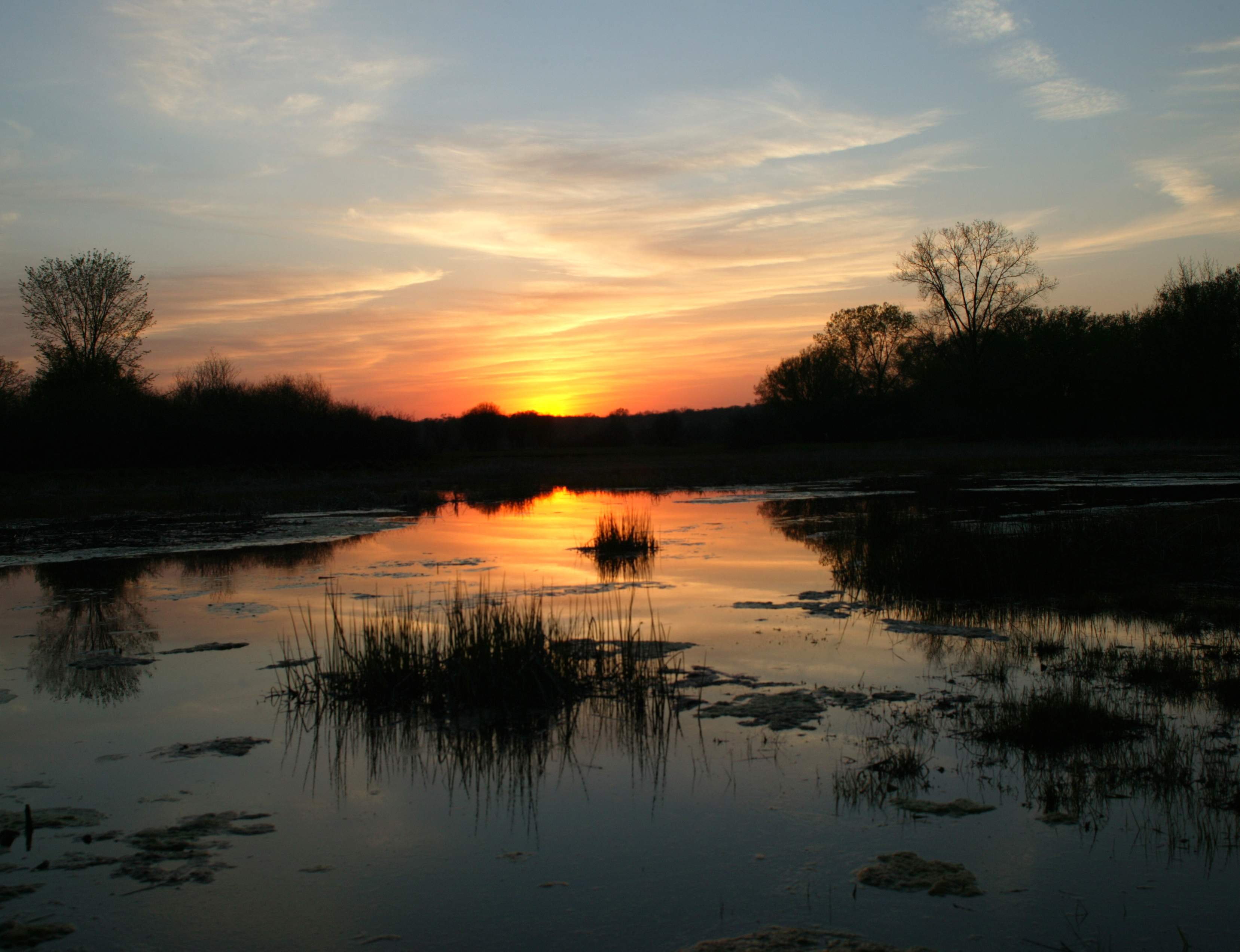 Sonnenuntergang über dem Wasser im Chain O Lakes State Park im Fox River Valley