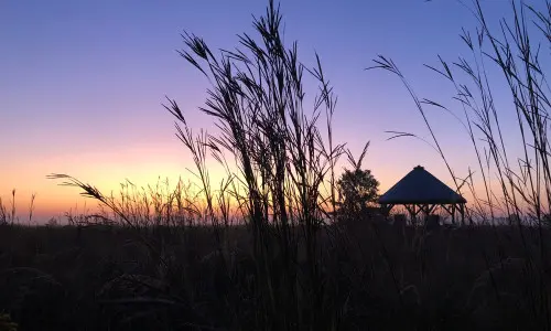 Sonnenuntergang Feld mit Gras