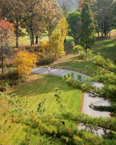 Eine Person läuft im Herbst durch das Morton Arboretum