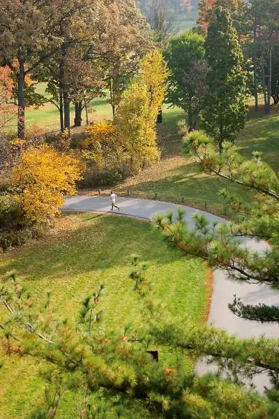 Eine Person läuft im Herbst durch das Morton Arboretum