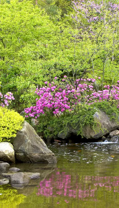 Teich im Anderson-Garten.