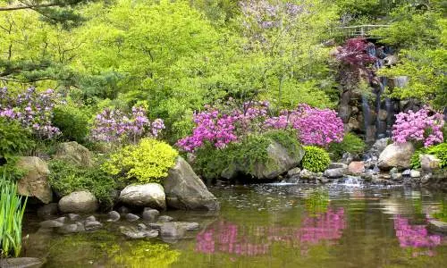Teich im Anderson-Garten.