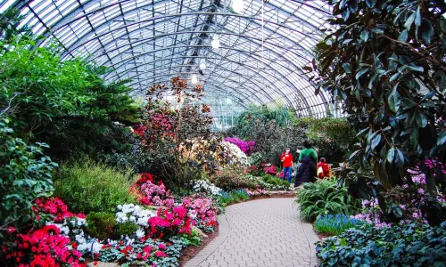 Indoor-Park voller Blumen und Grünpflanzen. 