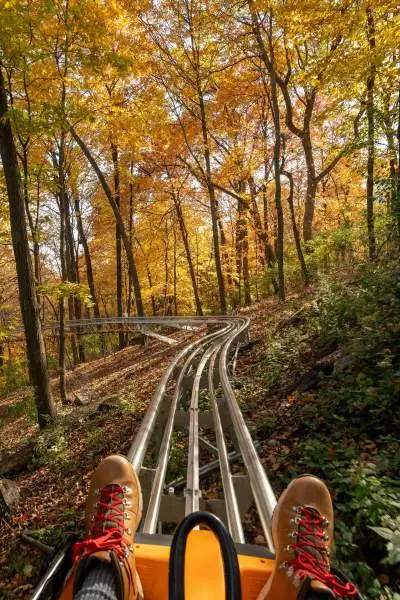 Blick auf die Füße und die Achterbahn, während eine Person mit dem Alpine Coaster durch das Herbstlaub im Aerie's Resort Grafton fährt