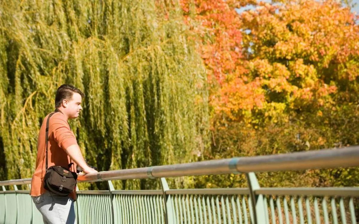 Ein Mann steht auf einer Brücke und blickt auf die herbstlich gefärbten Bäume
