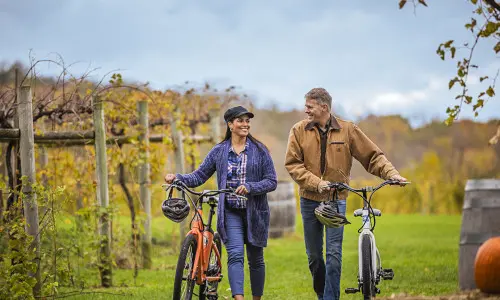 Ein Paar, das mit seinen Fahrrädern durch die Weinberge fährt