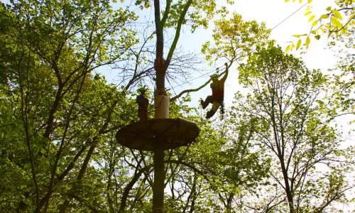 Ein Mensch fliegt zwischen den Baumwipfeln