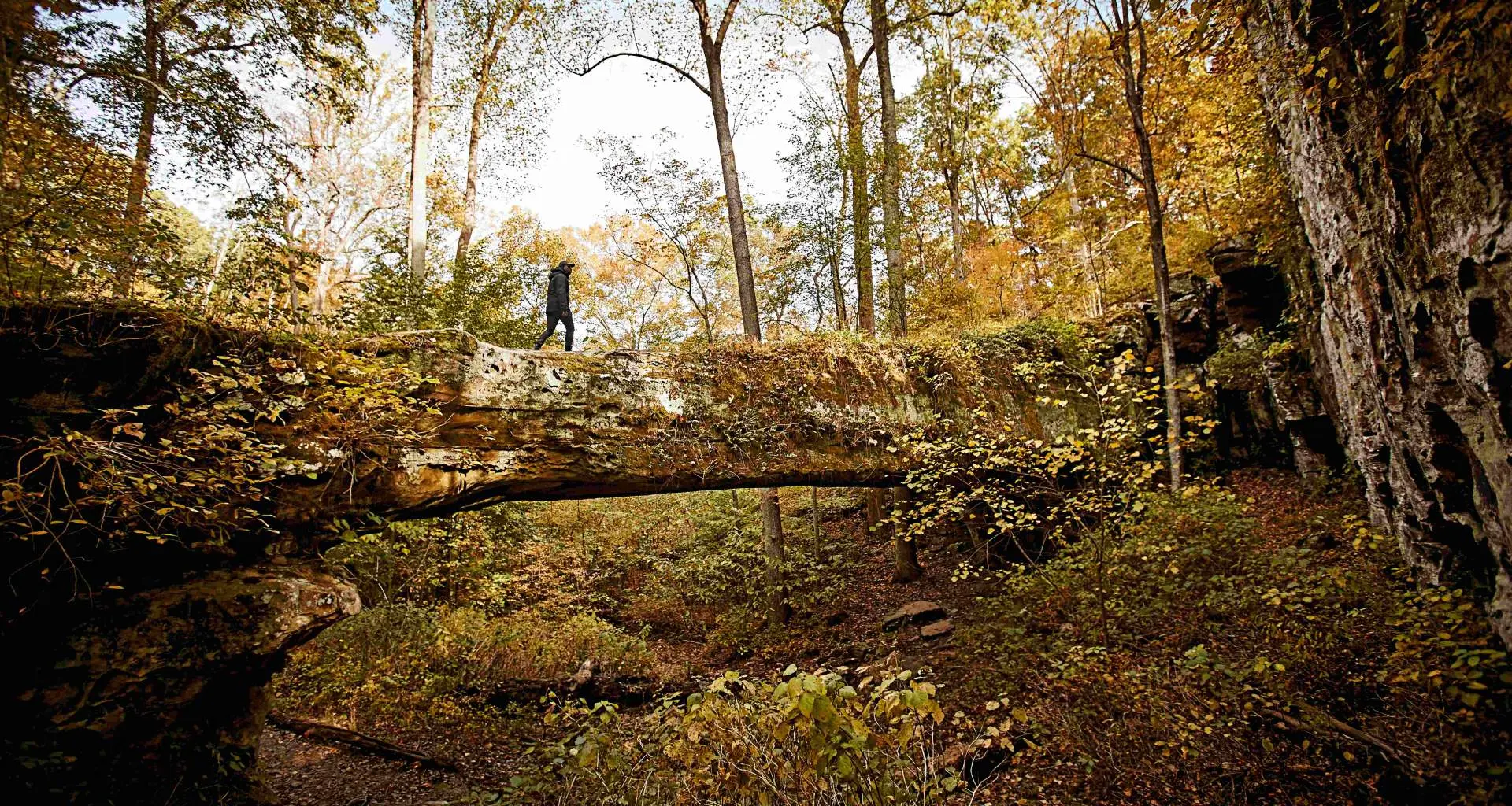 Ein Spaziergänger auf der natürlichen Brücke von Pomona im Shawnee National Forest