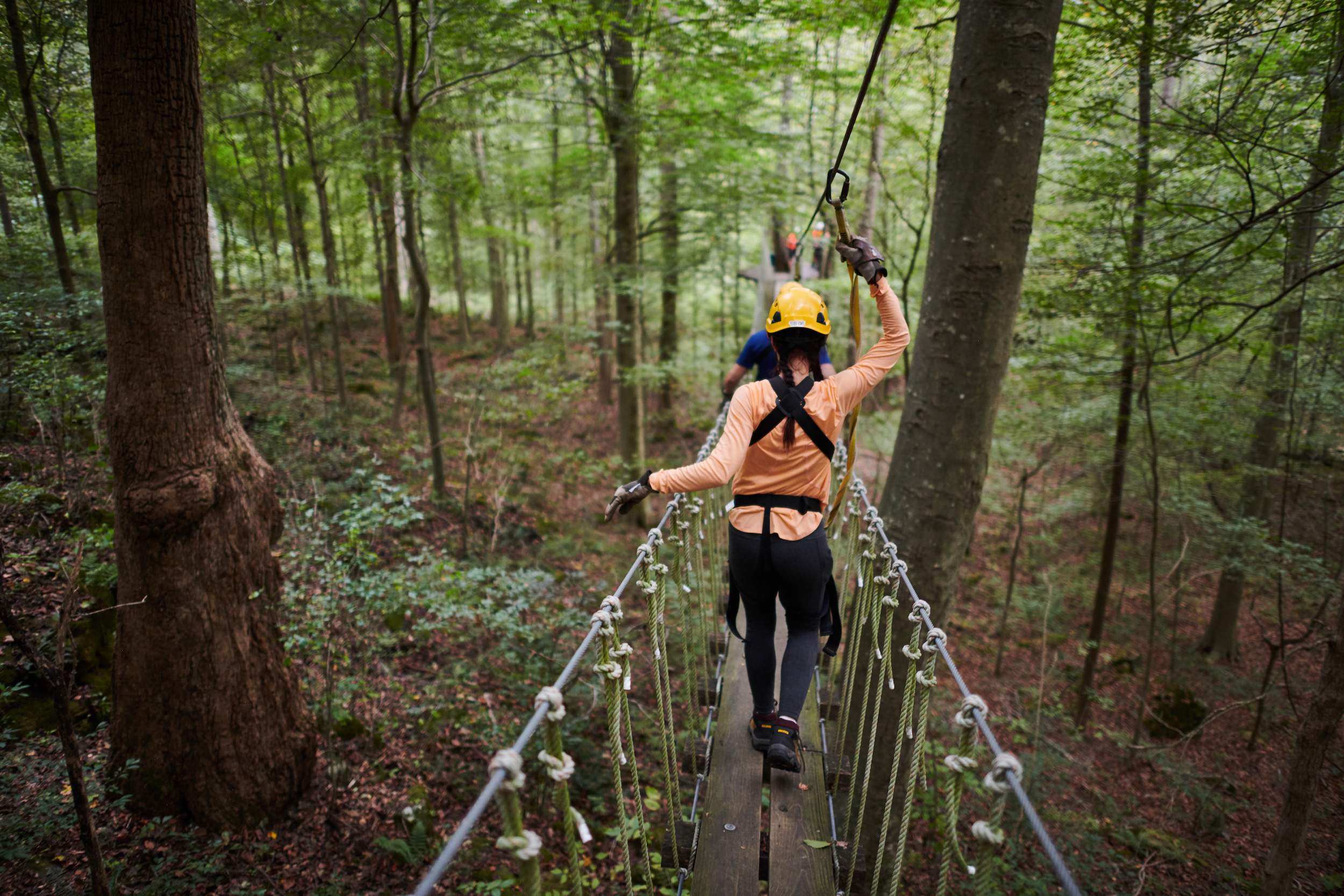 Menschen auf einer Brücke, die die Wälder mit Gurten und Sicherheitshelmen bei Canopy Tours überqueren.