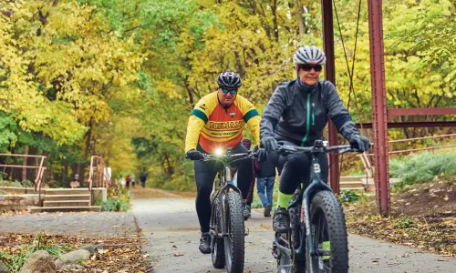 Zwei Radfahrer fahren auf einem Waldweg unter einer alten Holzbrücke