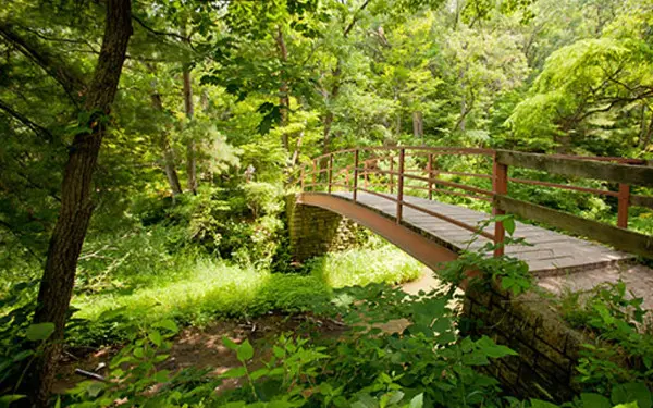 Eine Promenade in Starved Rock, umgeben von Wald
