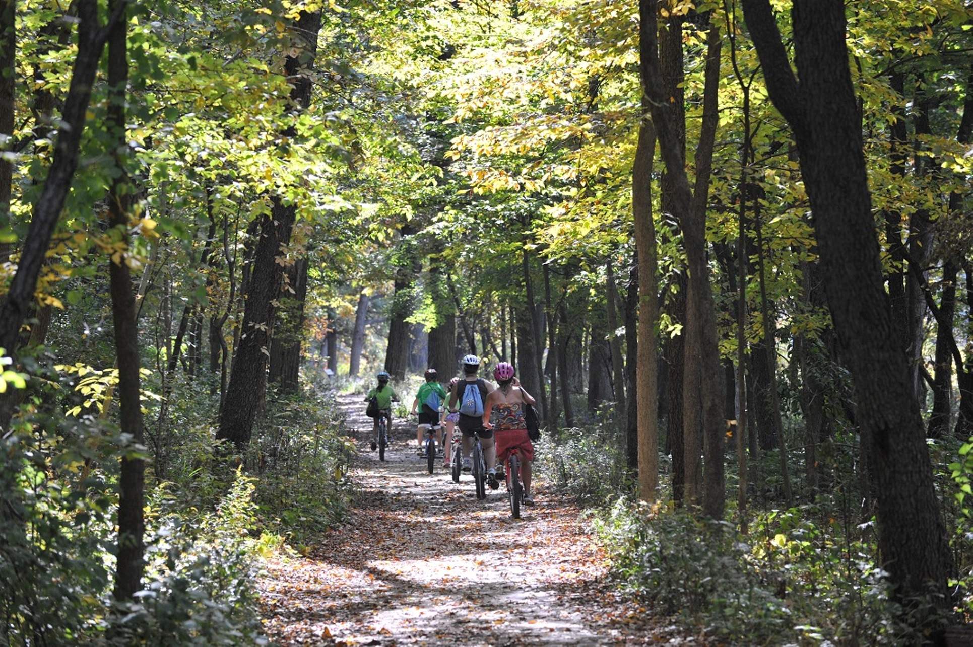 Eine Gruppe von Radfahrern auf dem Fox River Trail inmitten von Waldbäumen