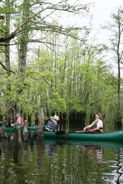 Menschen in einem Boot paddeln durch Wasser und Bäume