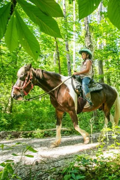 Reiten auf einem Pfad 