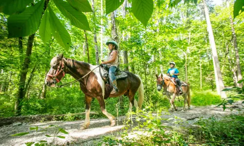 Reiten auf einem Pfad