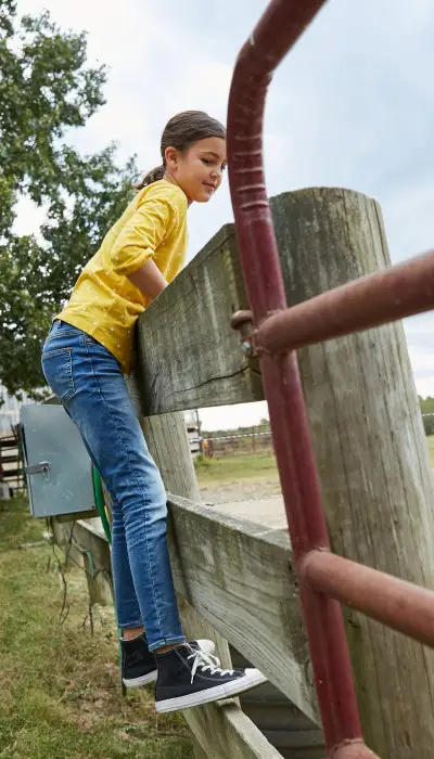 Kinder schauen über den Zaun zu einem Pferd