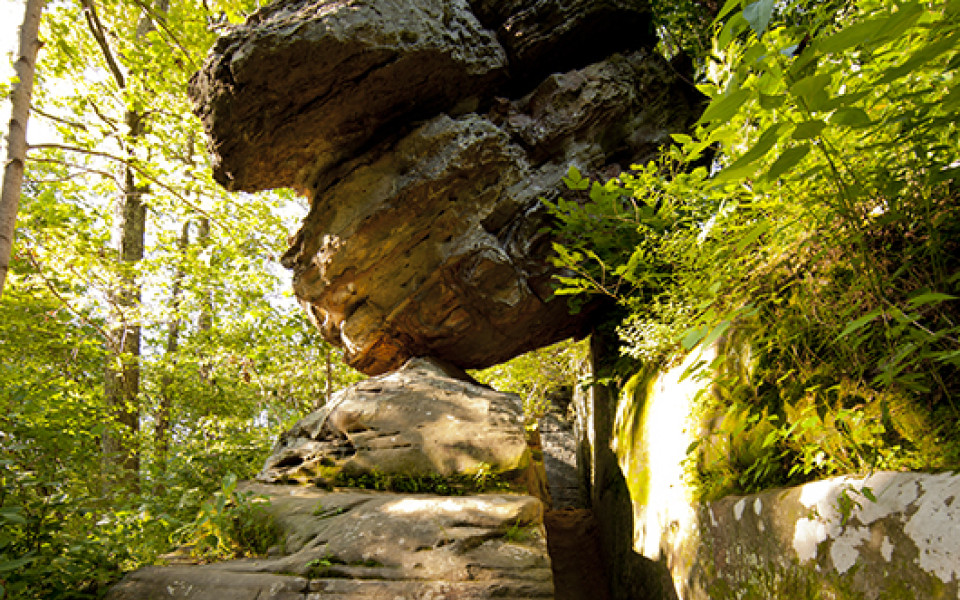 Illinois' State Park Hidden Gems | Illinois genießen | Illinois genießen