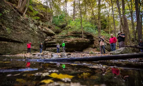 Menschen fotografieren im Ferne Clyffe State Park